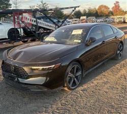 هوندا أكورد